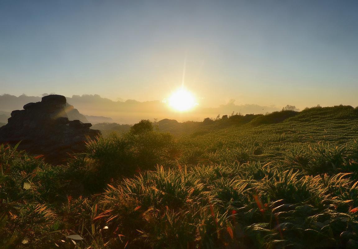 独行侠连胜掘金火箭！安东尼·戴维斯回归稳固攻防体系，新秀弗拉格闪耀助力